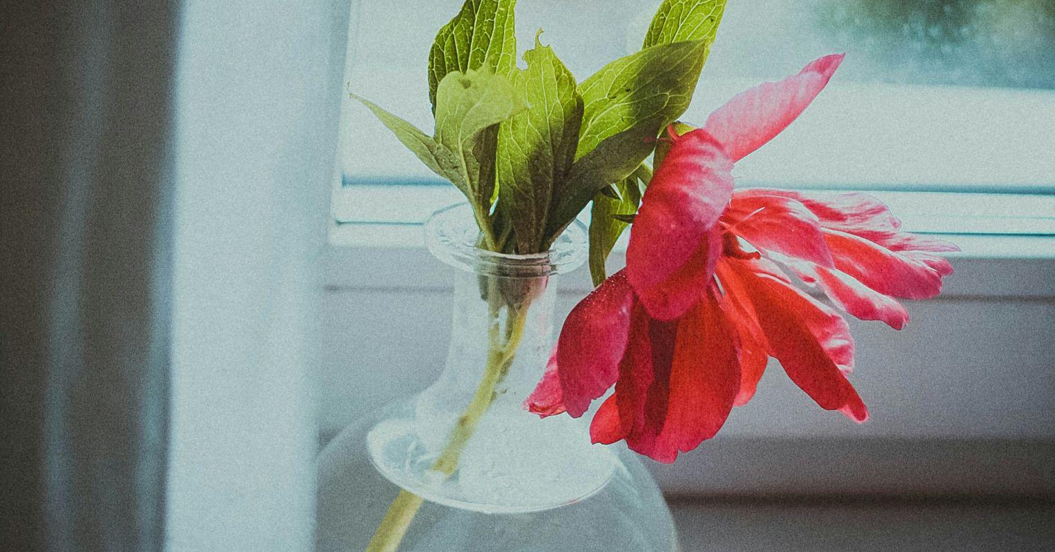 The Unexpected Benefit of Joining a Dying Profession