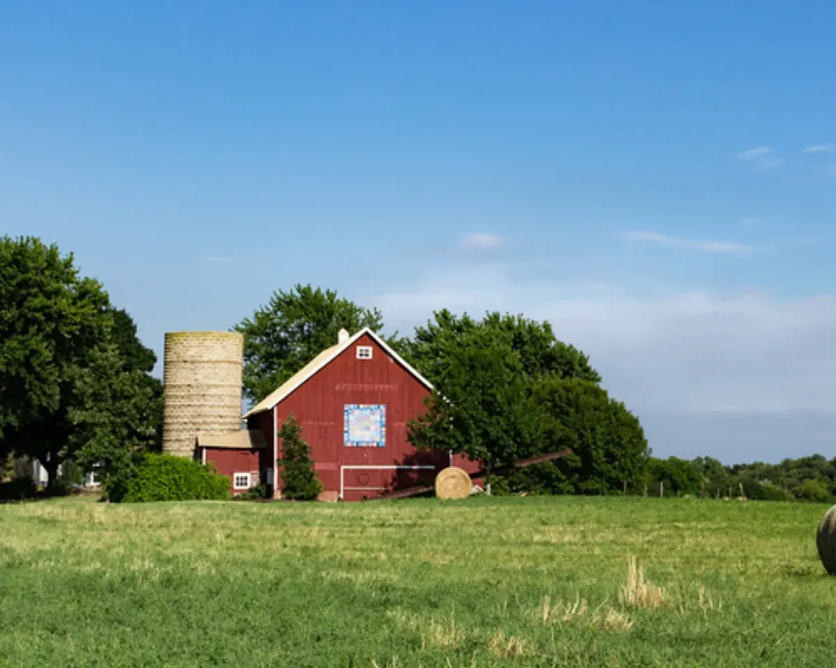 Can Billions in New Subsidies Keep Family Farms in Business?