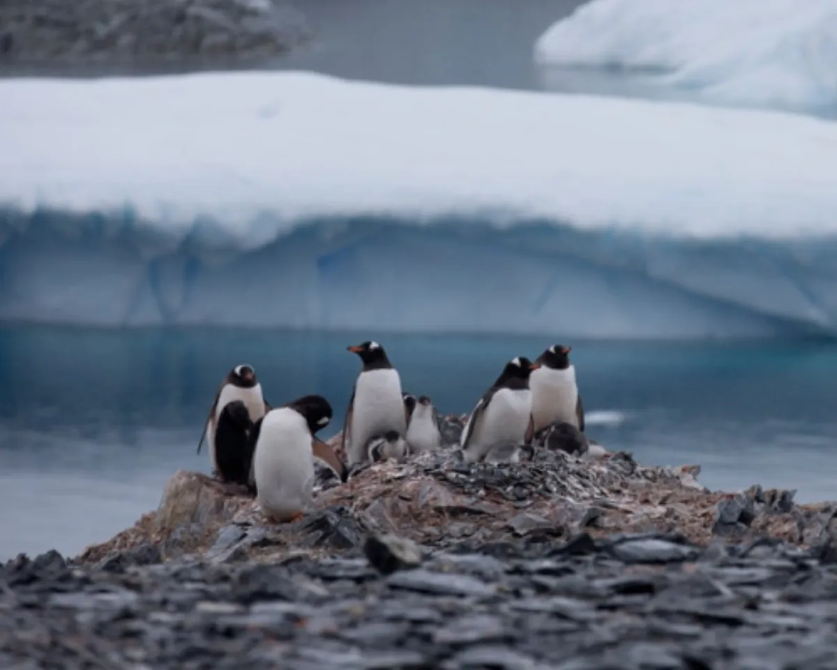 The immense and forbidding Southern Ocean is famous for howling gales and devilish swells that have tested mariners for centuries. But its true strength lies beneath the waves.