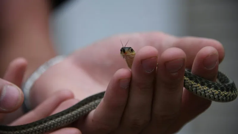 How to recognise a phobia (and get help)