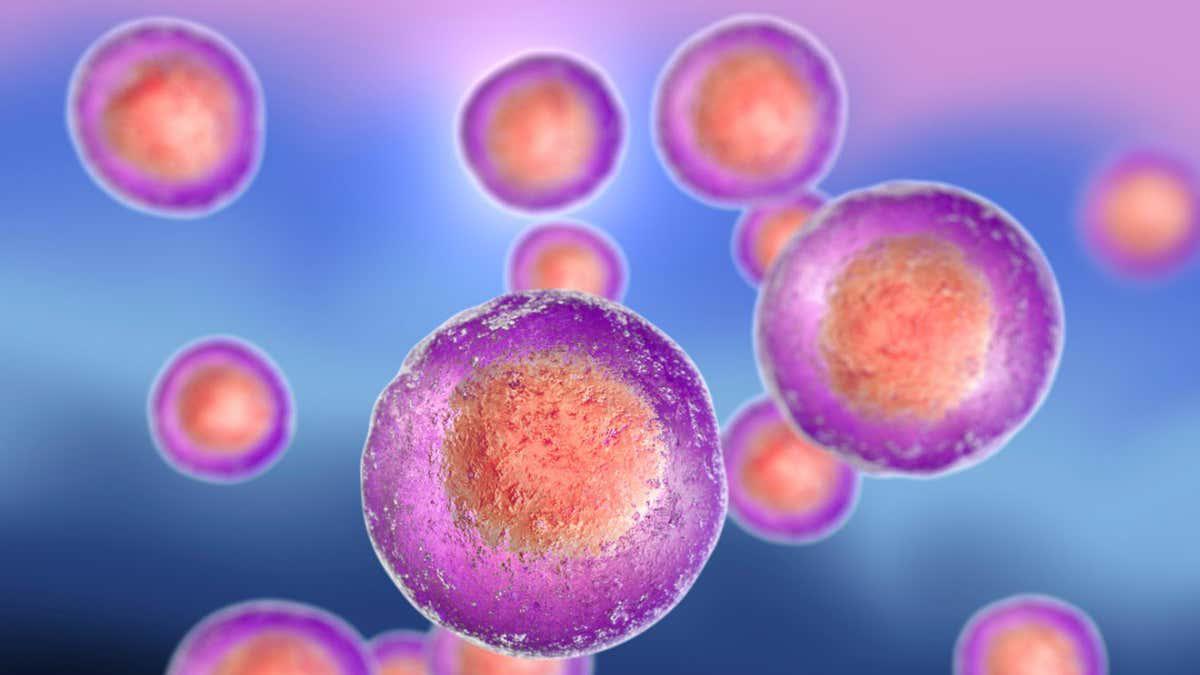 Is stem cell therapy about to transform medicine and reverse ageing?