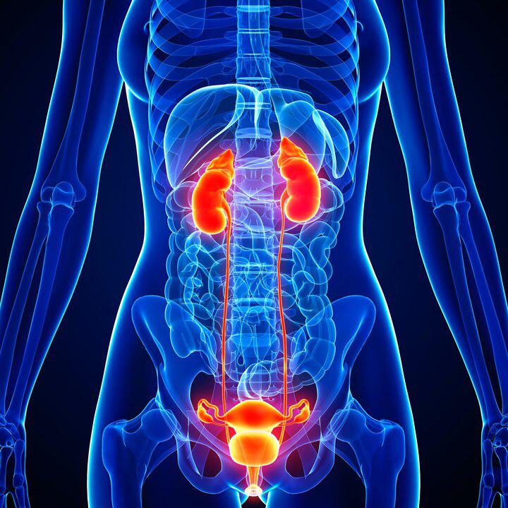 Why some women have menopause symptoms that never go away