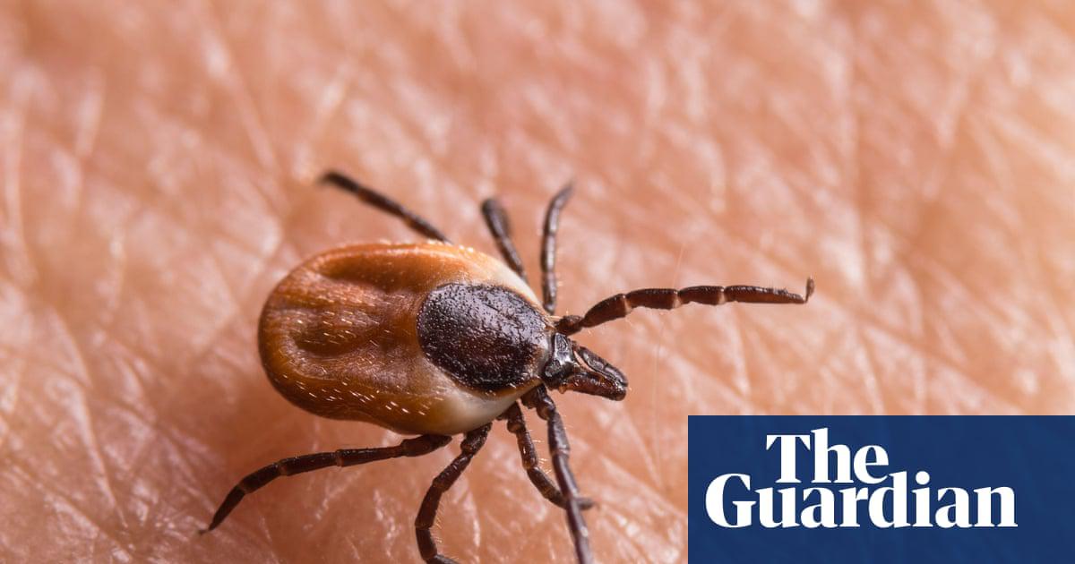 Lyme disease vaccine shows 70 percent efficacy, Pfizer says