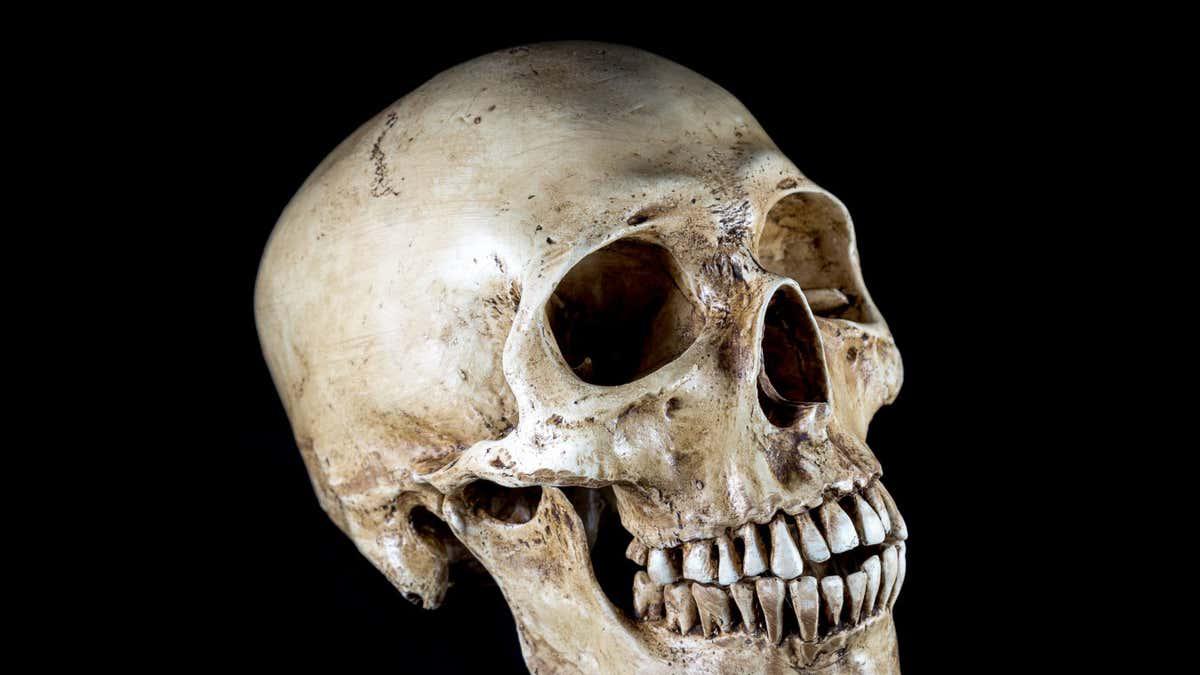 Human heads have changed shape a lot in the past 100 years
