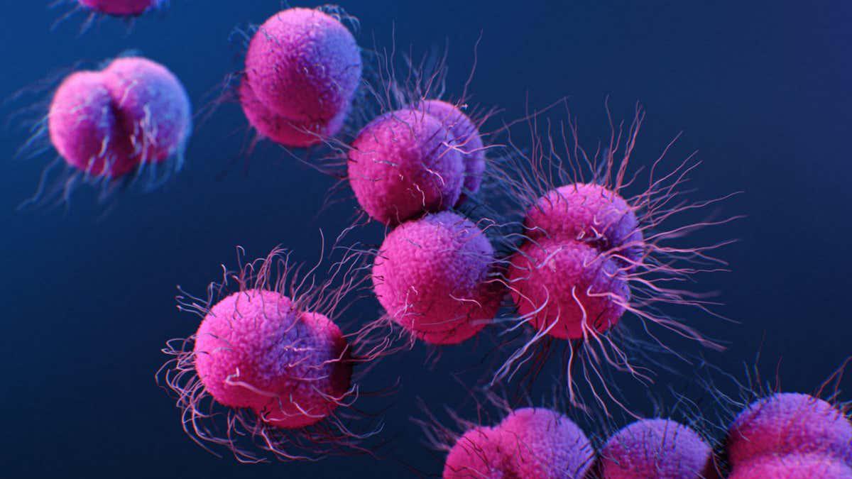 New antibiotic could stave off drug-resistant gonorrhoea