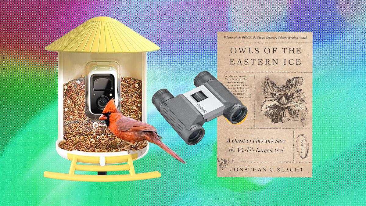 An Editor’s Picks: The Best Gifts for Bird Lovers