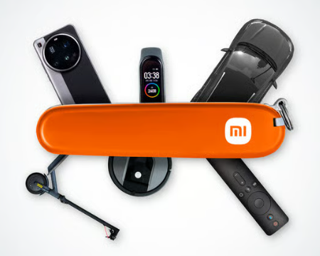 Xiaomi the money