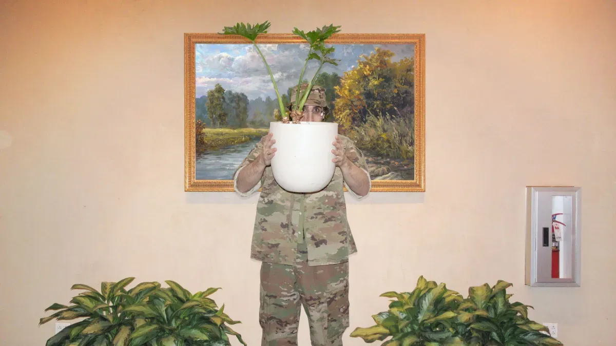 How American Camouflage Conquered the World