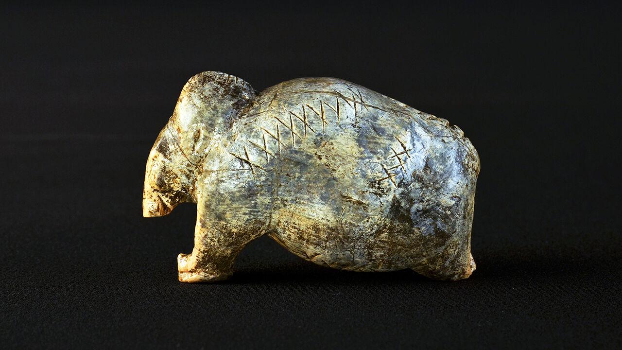 Marks left by Stone Age humans were surprisingly complex