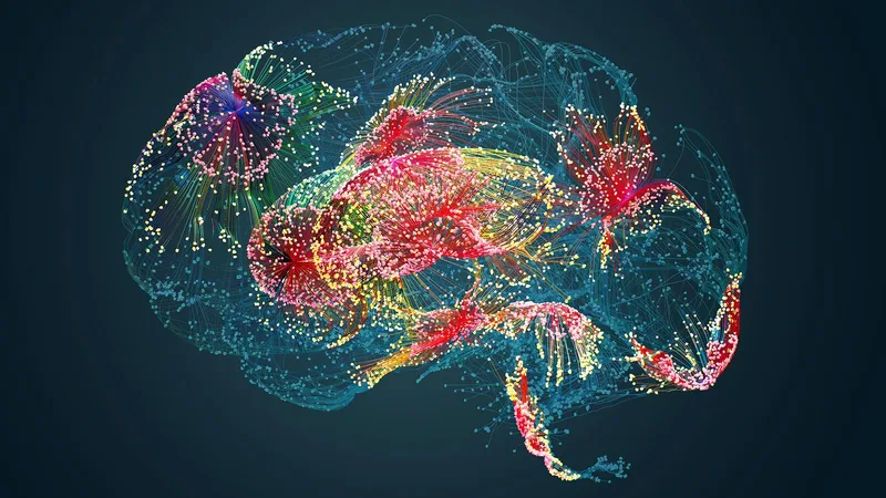 Aging may erase epigenetic marks in the brain