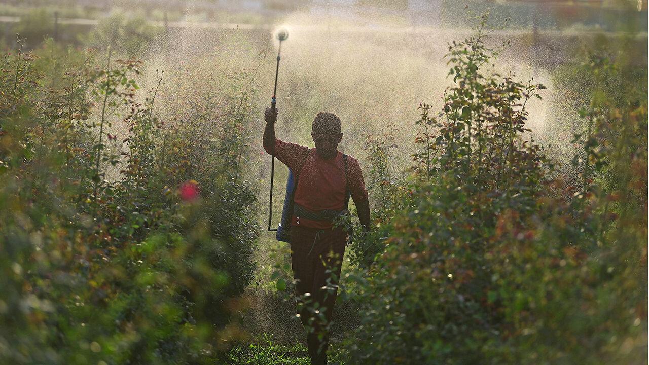 Millions will go hungry if the Strait of Hormuz stays closed