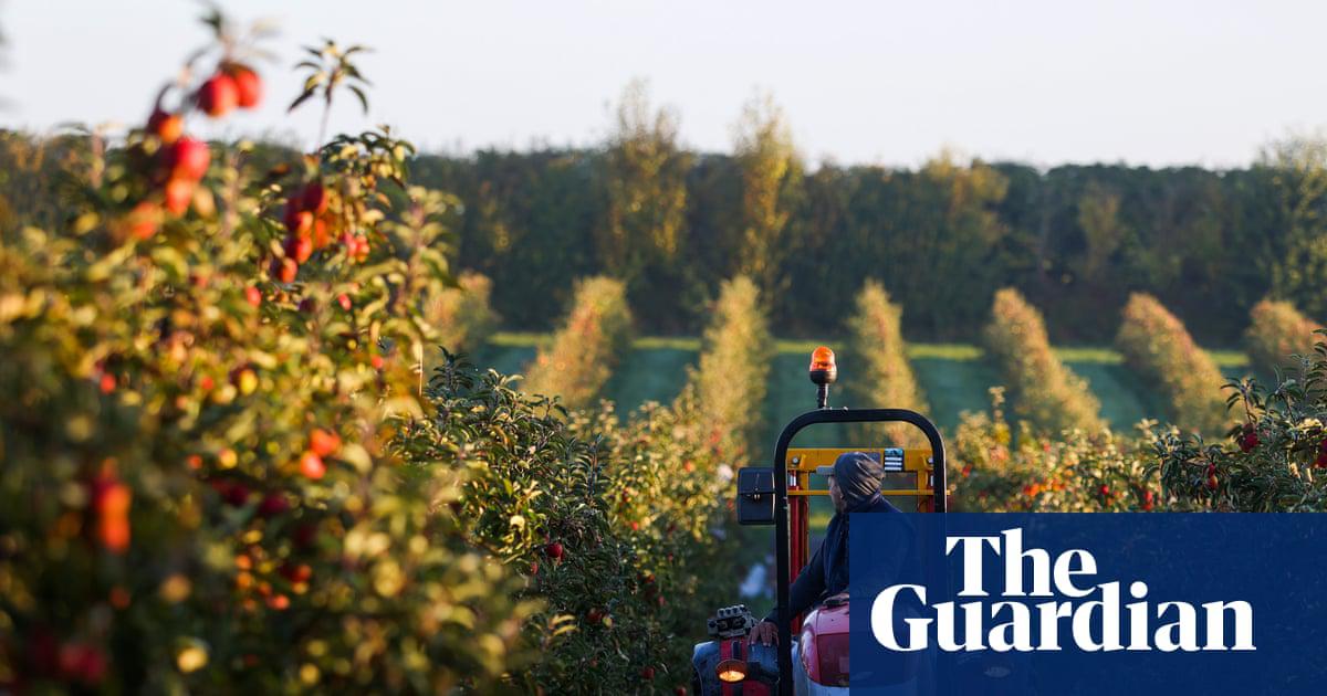 More farming co-operatives could ‘unleash growth’ in UK, finds report