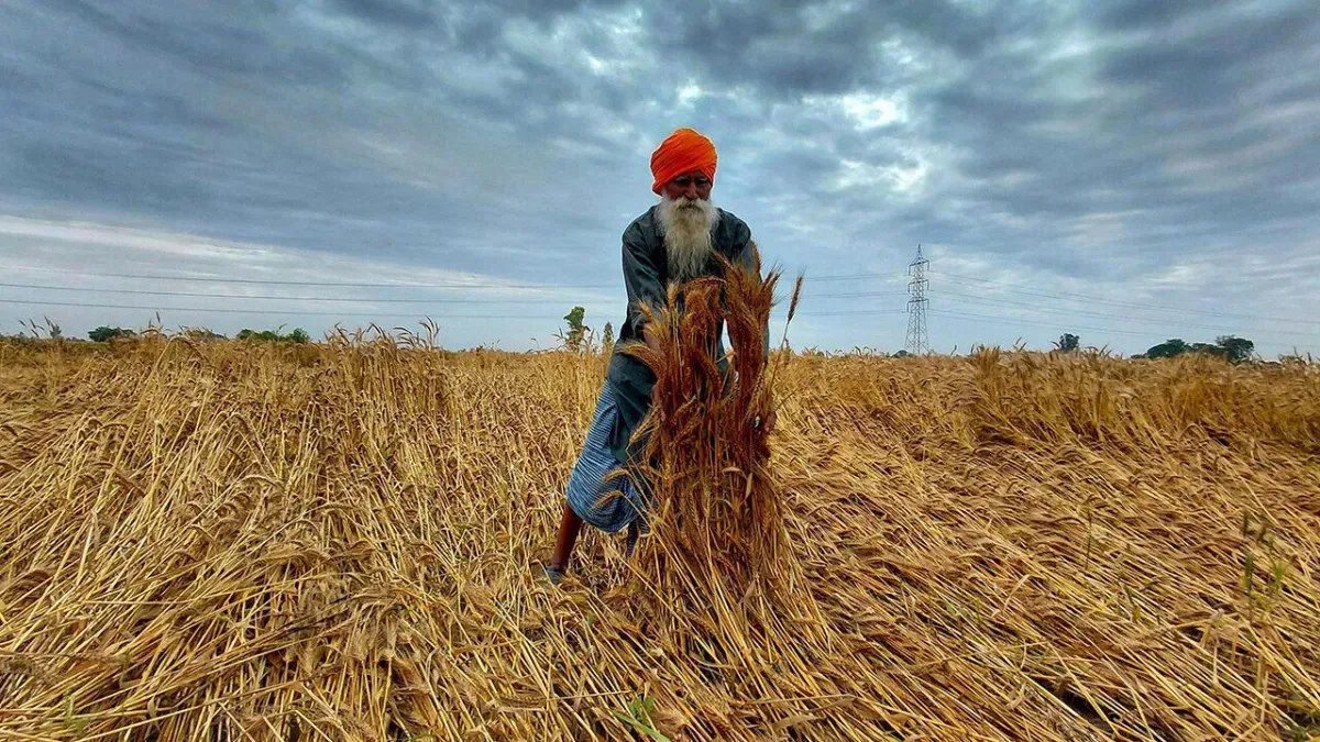 The impending global food shock is preventable