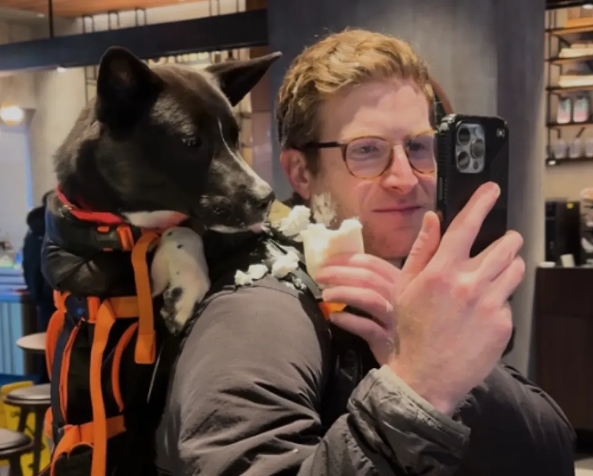 Carrying for a Cause: Meet the Man Lugging Shelter Dogs Around New York