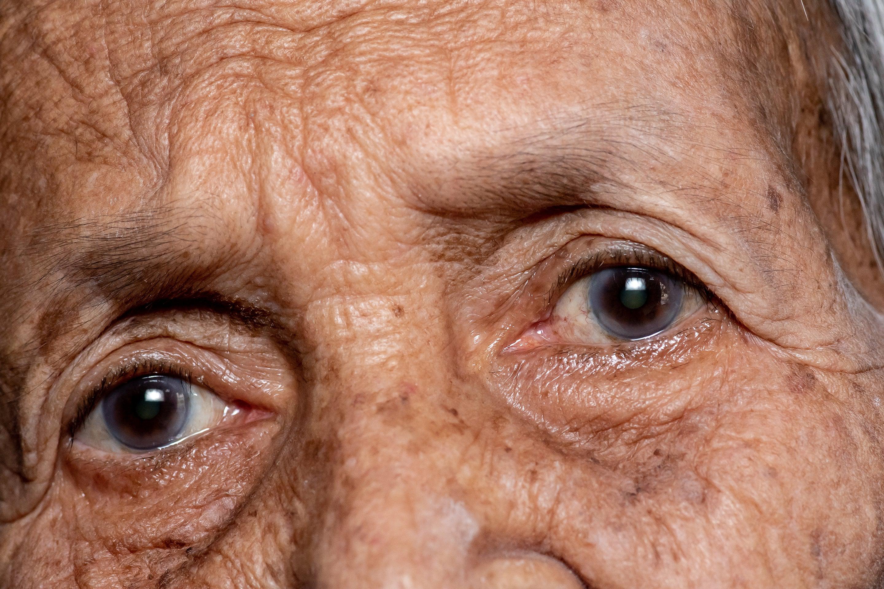 Aging Rates Vary by Country. Politics Might Be Why