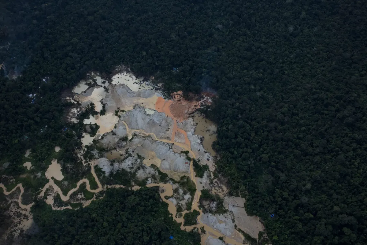 Illegal Miners Loot Amazon Rainforest for Critical Minerals