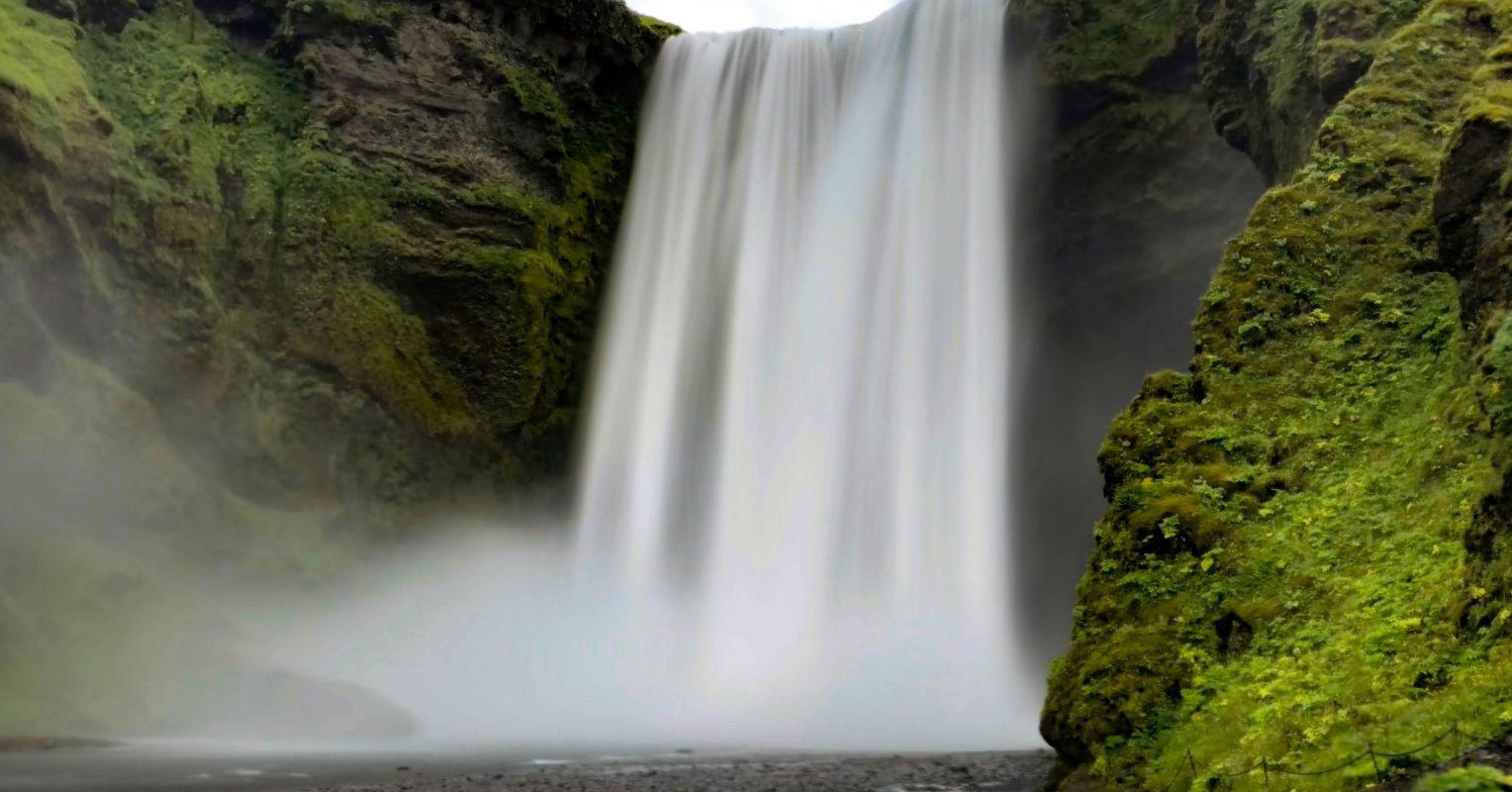 Three Key Insights on How Being in Nature Changes the Brain