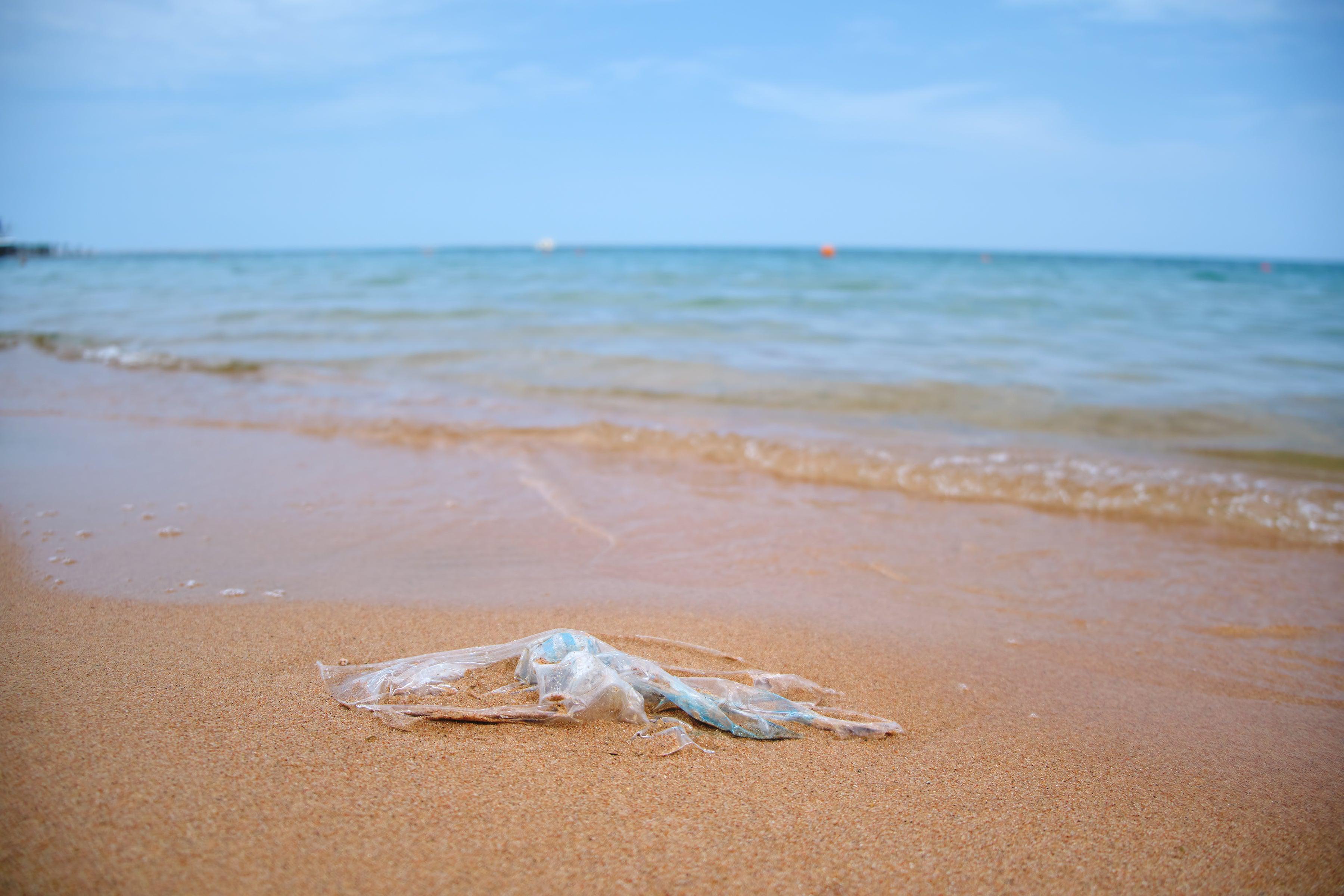 Here’s How Plastic Bag Bans Are Keeping Trash off Shorelines