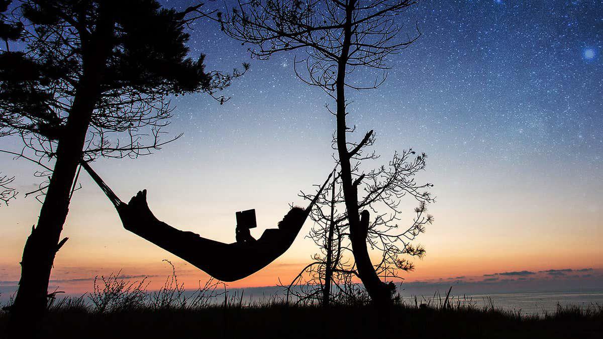 The best new popular science books of January 2026