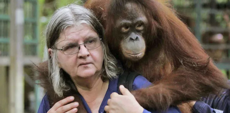 Birutė Galdikas: The last of the ‘angels’ in primatology’s most extraordinary chapter