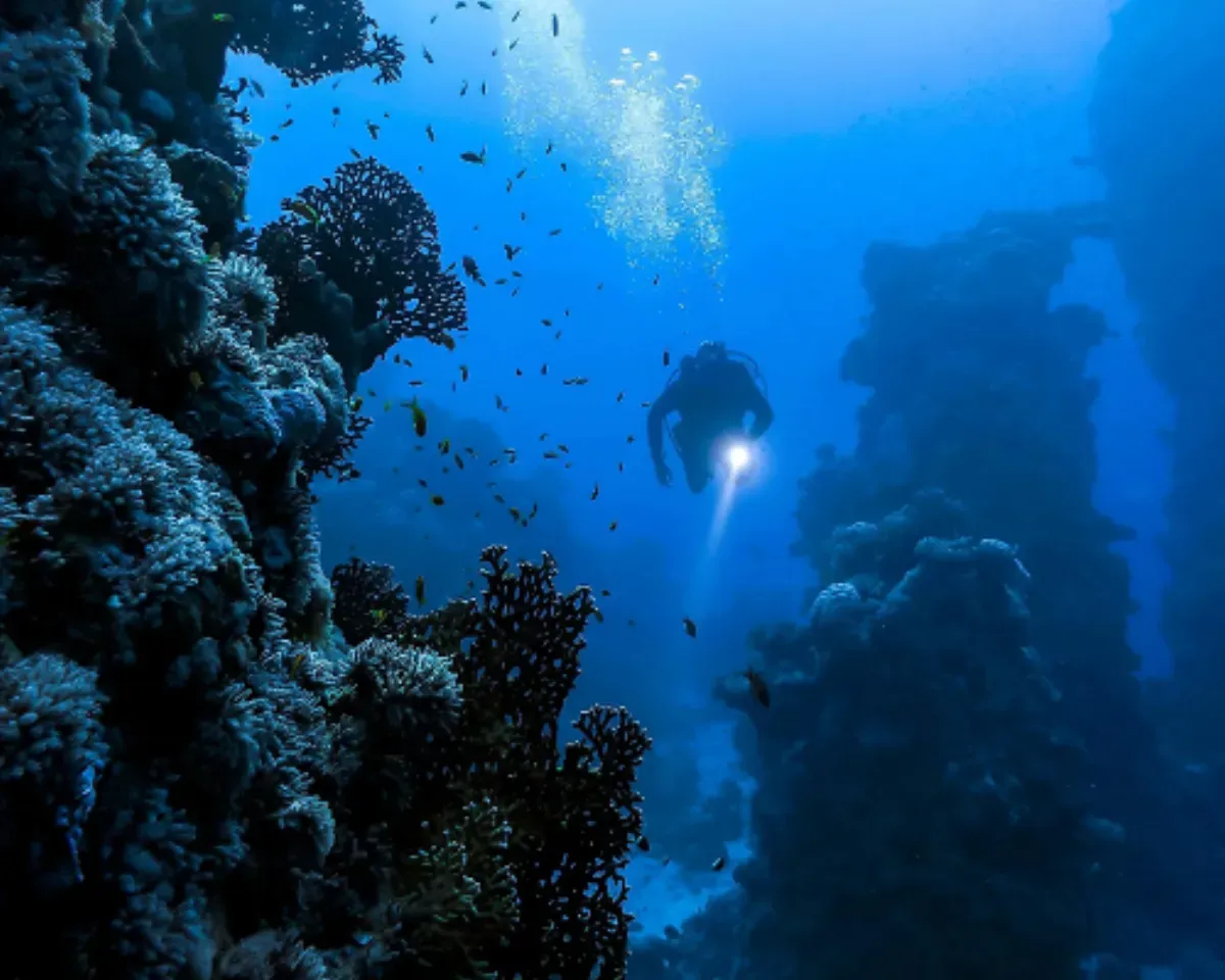 The deep has long been treated as somehow separate from the surface world, a shadowy non-place populated by alien creatures. While this is partly a response to the difficulty of studying it, it also reflects an ingrained tendency.