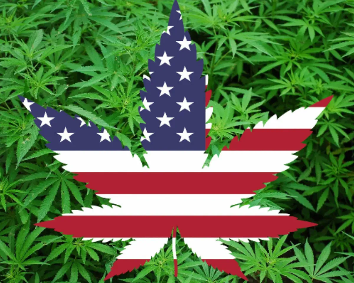 The legalization of cannabis in the United States -- the biggest change in policy for an illegal substance since Prohibition ended -- has been an unqualified success for approximately no one.