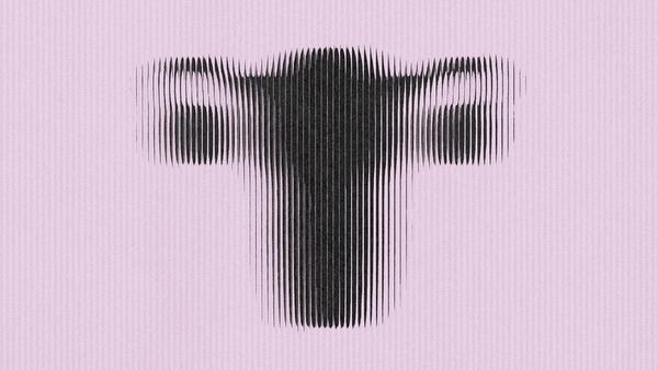 The Cost of ‘Natural’ Womanhood