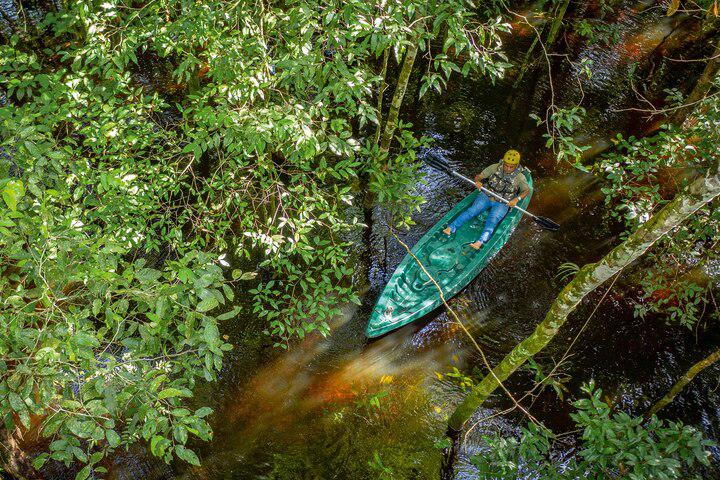 You can kayak in this Amazonian rainforest once a year—here's how