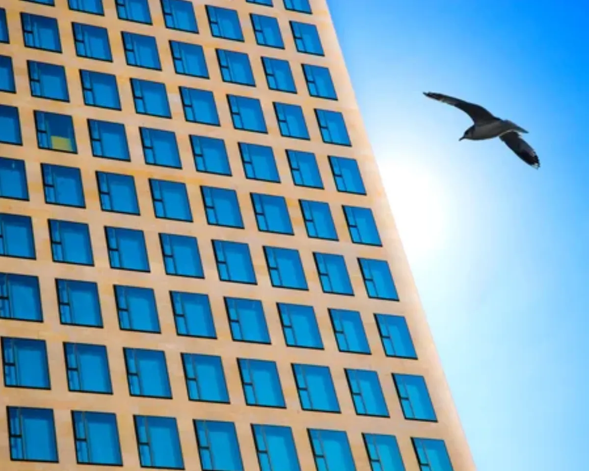 About a billion birds die from flying into buildings each year in North America. Suspicions have been that birds may perceive the open areas behind glass as safe passageways. Or they may mistake the reflected foliage for the real thing.