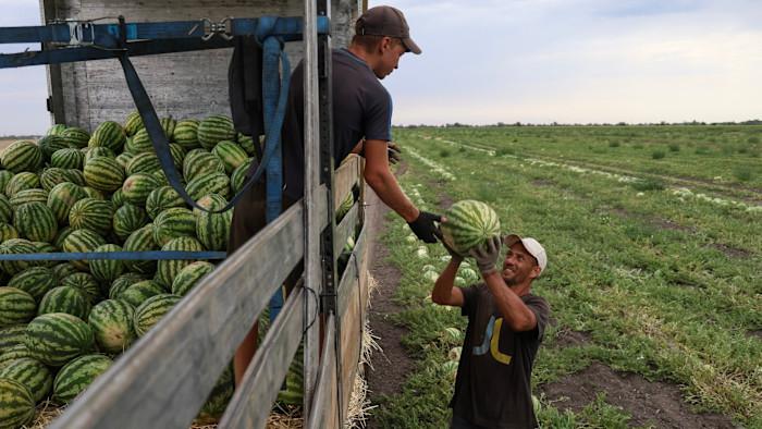 The secret to Ukraine’s remarkably resilient labour market 