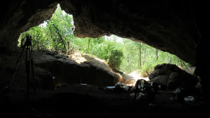 'Major disruption in Neanderthal history': 65,000 years ago, all Neanderthals in Europe died out except for one lineage