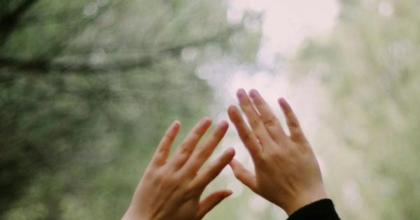 Can Science Account for Consciousness?