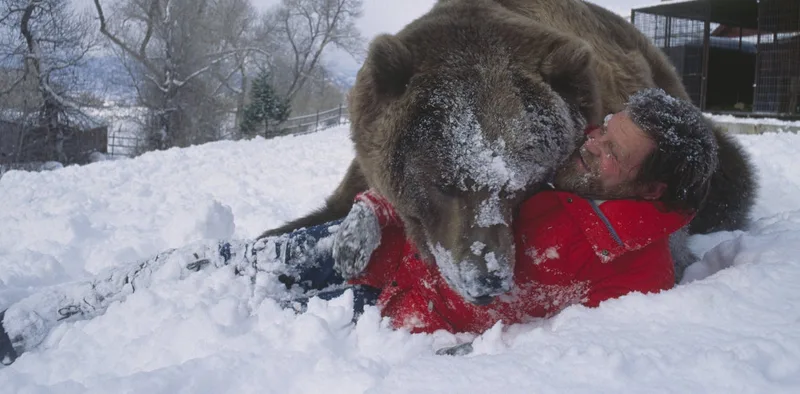 Do animals have a future on Hollywood sets?
