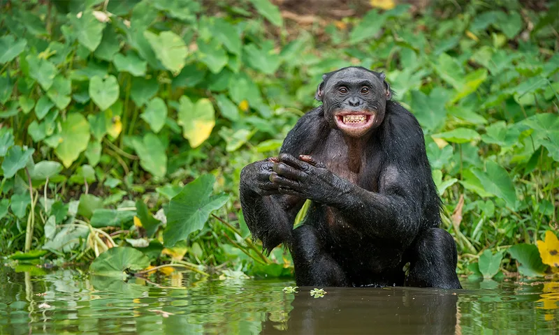 Grinning During Sex Isn’t Contagious, But It Does Require Tempo