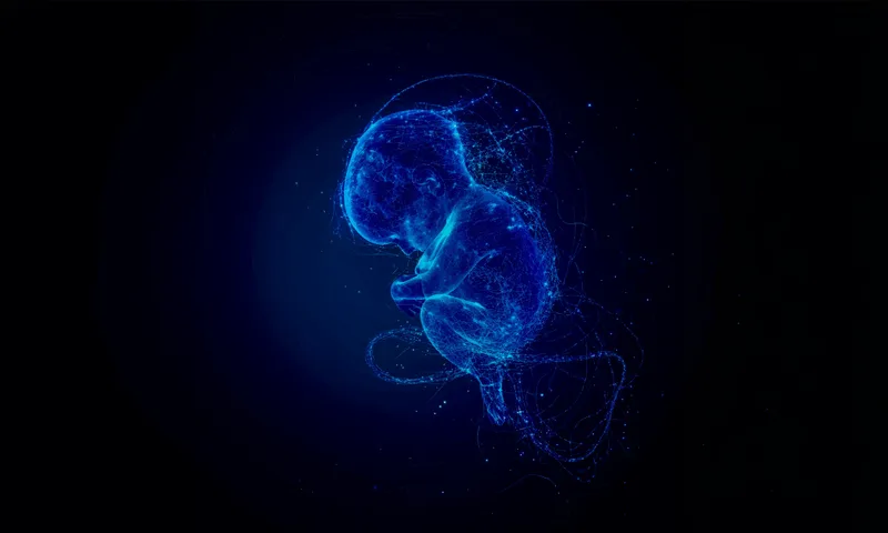 Babies Are Exposed to More Forever Chemicals in Utero Than Previously Thought