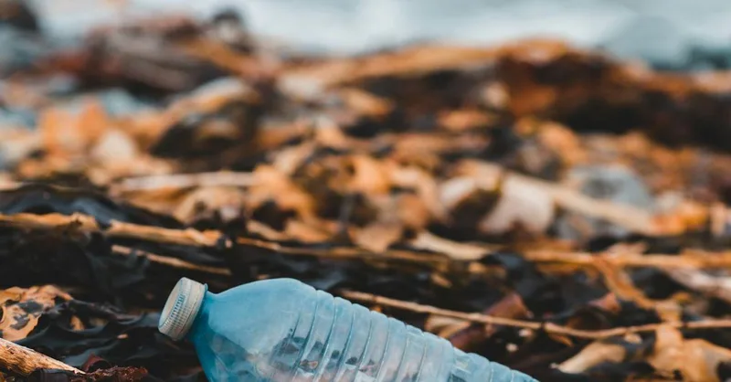 Should I Worry About the Plastic in My Floss and Toothbrush?