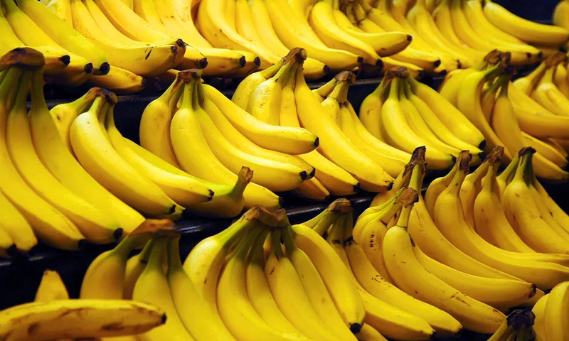 New Gene Discovery Could Postpone the Bananapocalypse