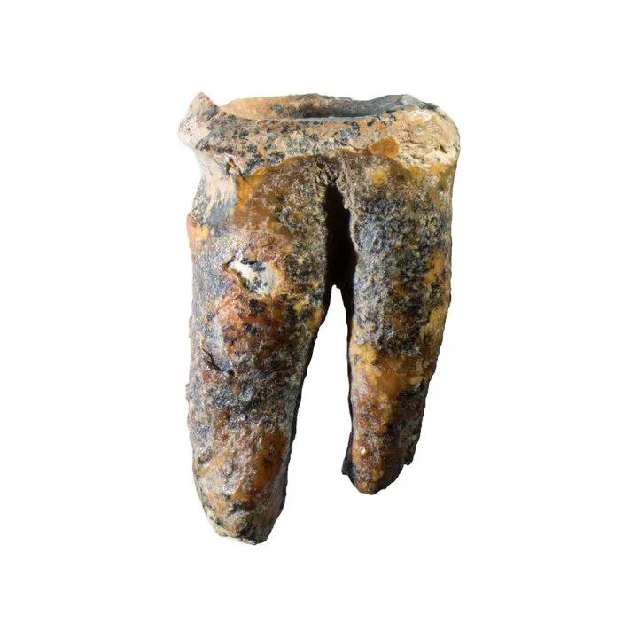 What Your DNA Reveals About the Sex Life of Neanderthals
