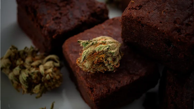 How a chocolate edible reshaped my understanding of fear