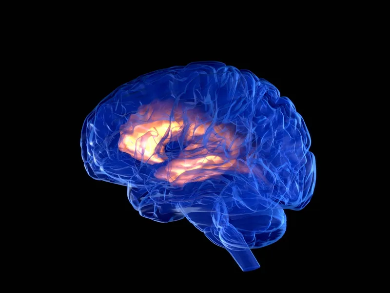 China just approved its first brain implant for commercial use, a world first
