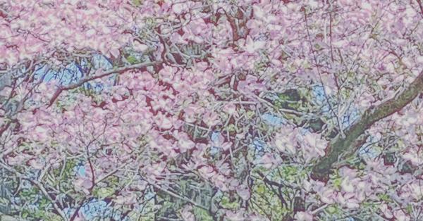 Rest and Chronic Illness