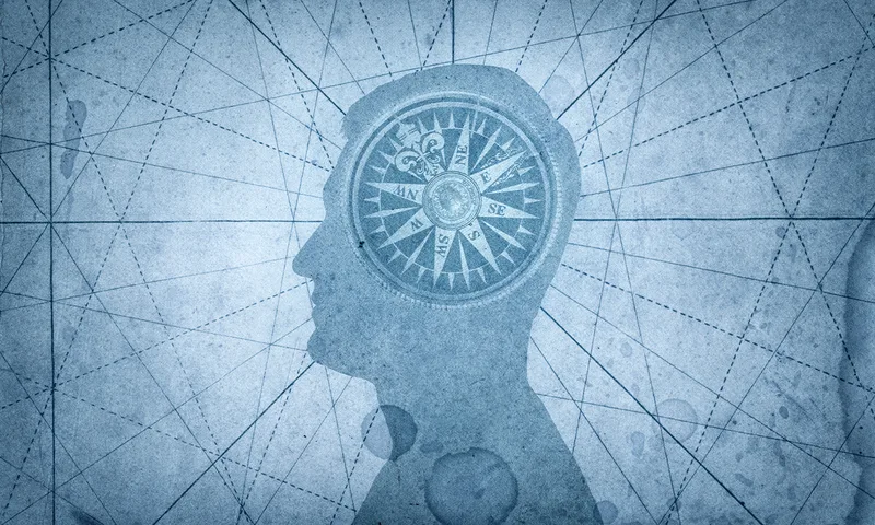 Is This Where Morality Lives in the Brain?