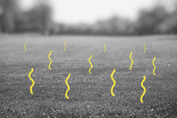 What an oncologist wants you to know about environmental cancer risks