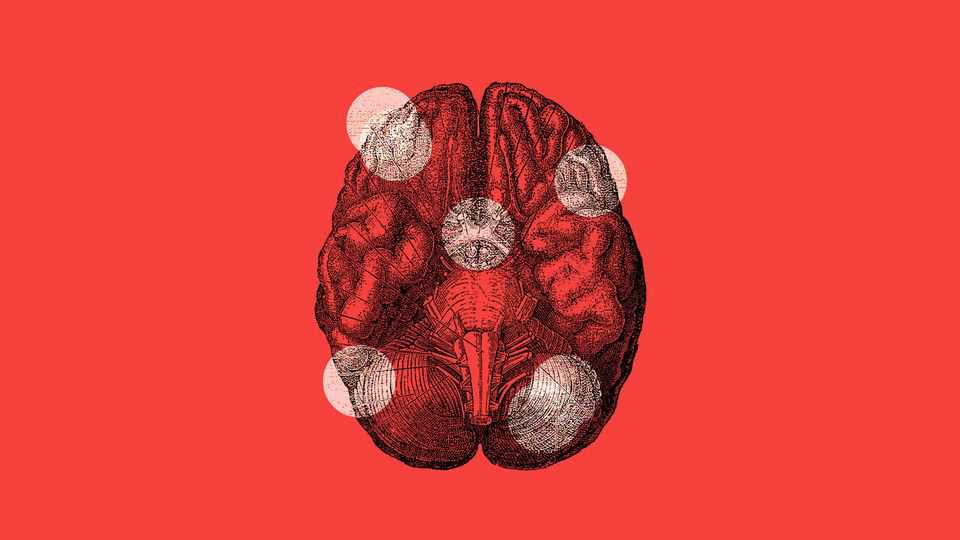 A new study highlights the brain’s role in immune health