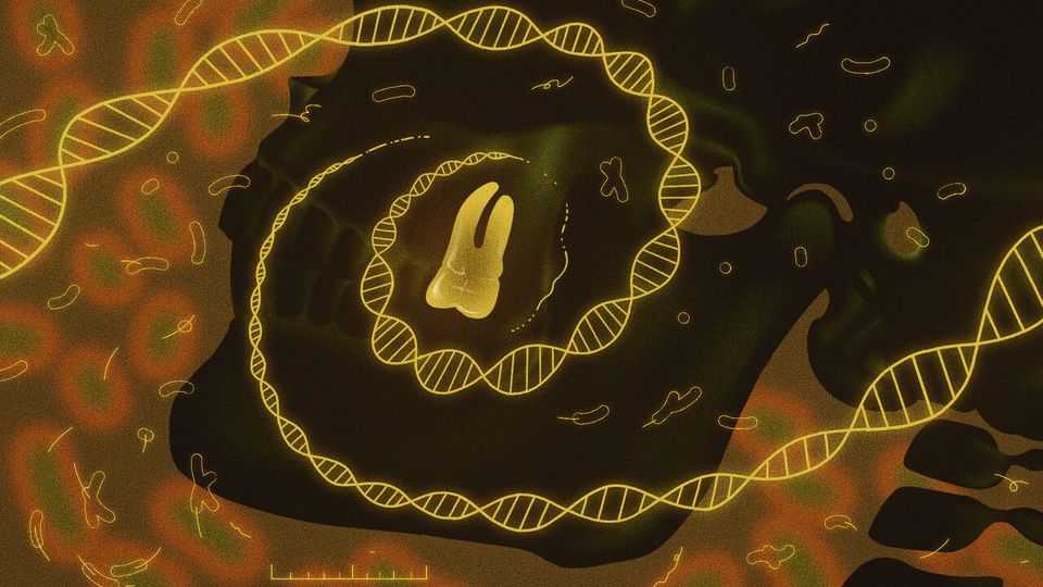 Ancient DNA is rewriting the history of plague