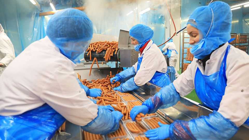 Germany’s economy is so bad even sausage factories are closing
