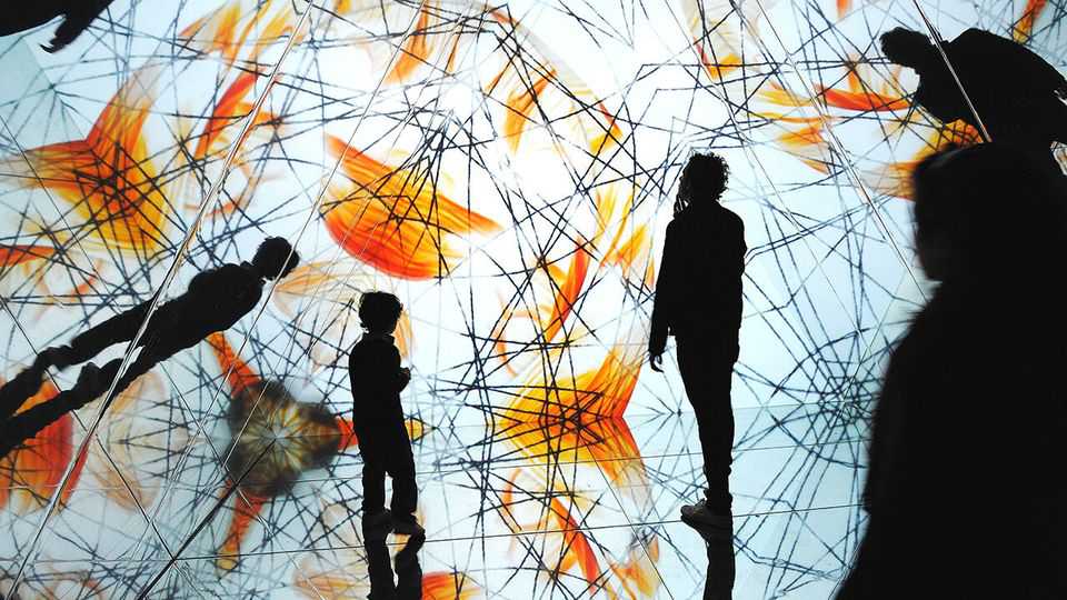 Solving the mystery of consciousness