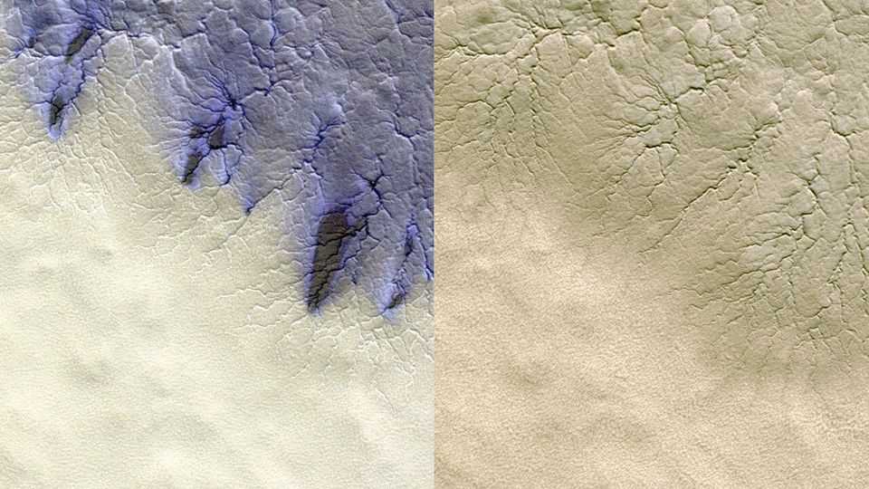 The spiders on the icecaps of Mars