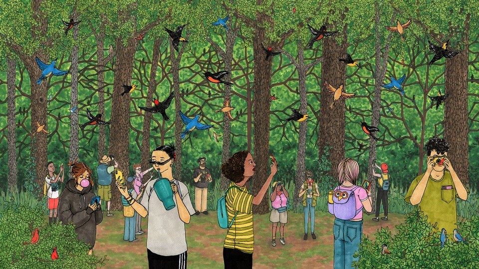All the Cool Kids Are Birding