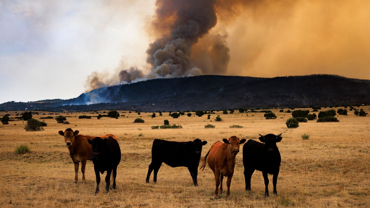The World Bank has ditched its climate targets